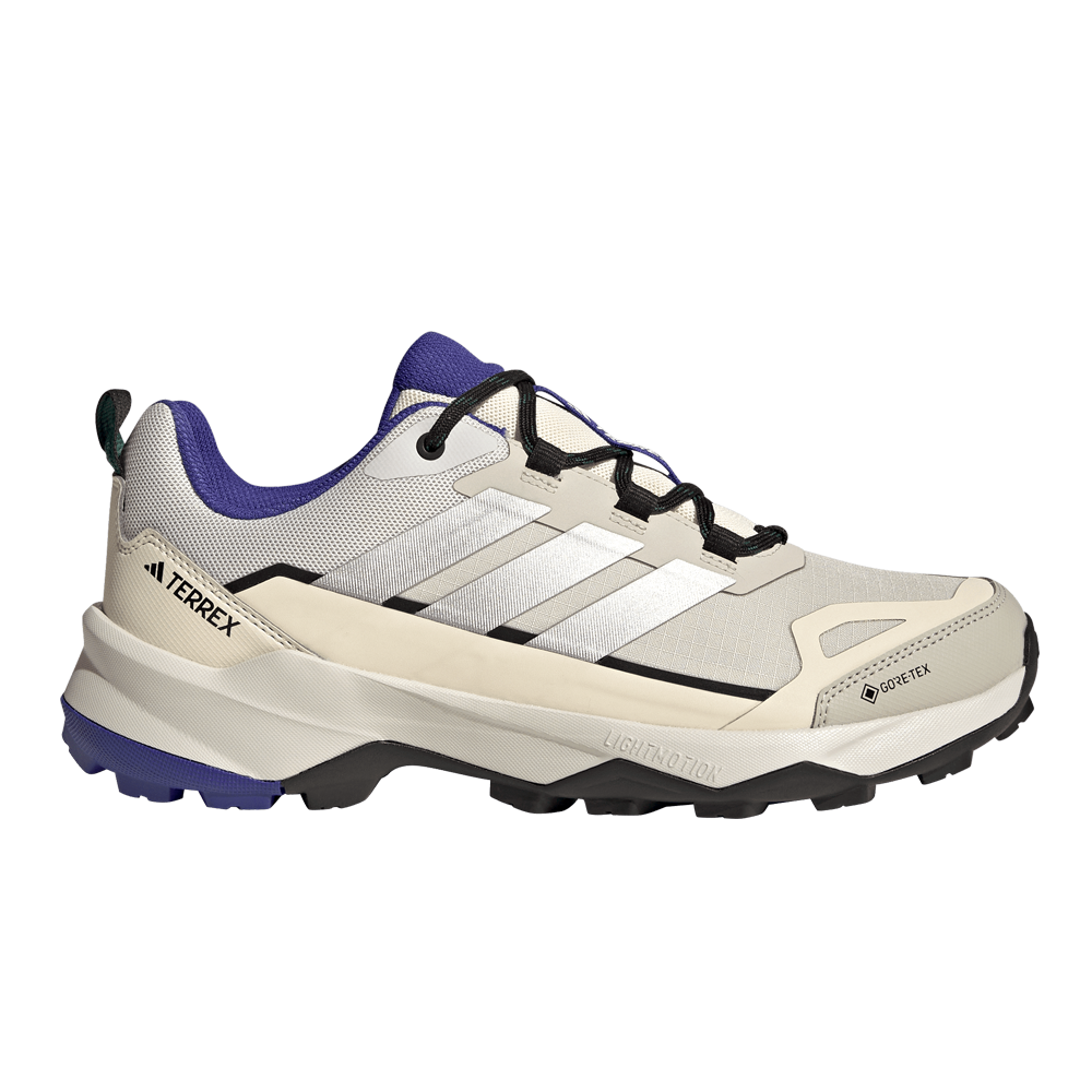 adidas Terrex Skychaser AX5 GORE-TEX Men's Walking Shoes - Wonder Alumina/Matte Silver/Wonder White