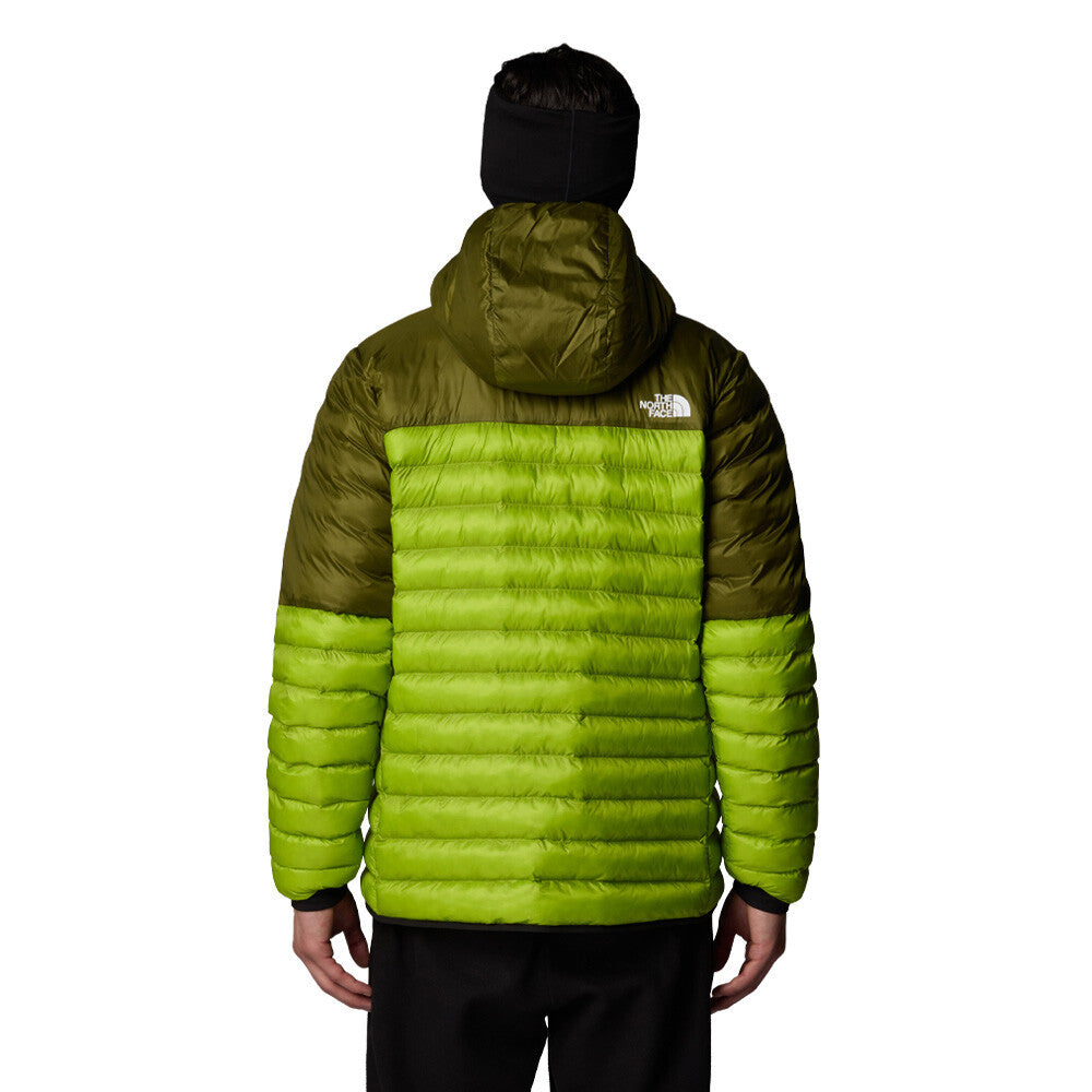 The North Face Terra Peak Hooded Men's Jacket - Meadow Grass