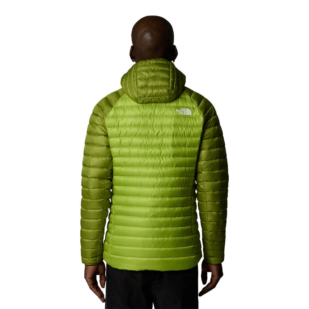 The North Face Bettaforca Hooded Down Men's Jacket - Meadow Grass/Oak Green