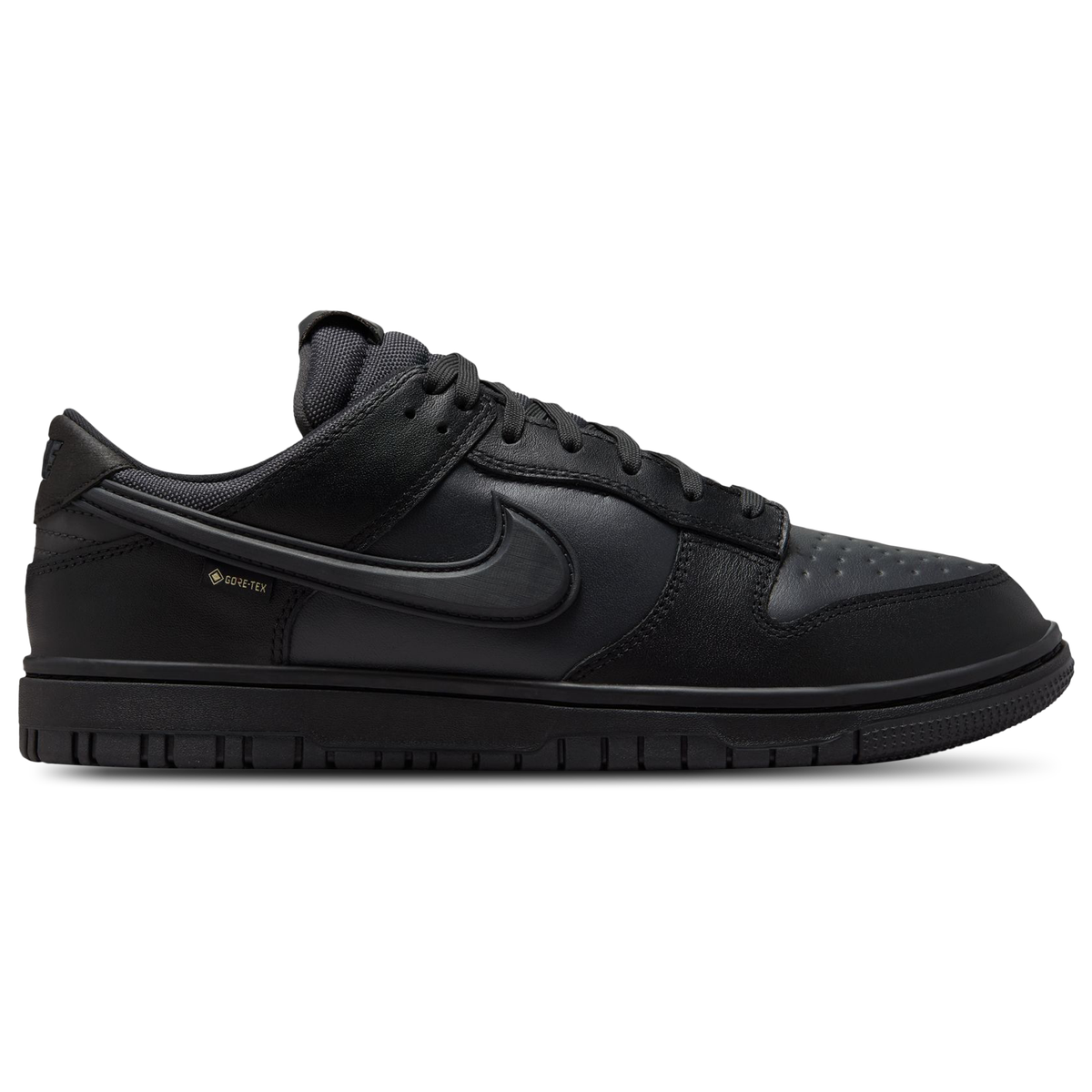 Nike Dunk Men's Trainers - Black (HQ2053-001)