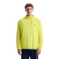 Light Yellow