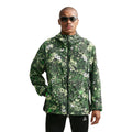 Black Spruce/Black Spruce/Summit White