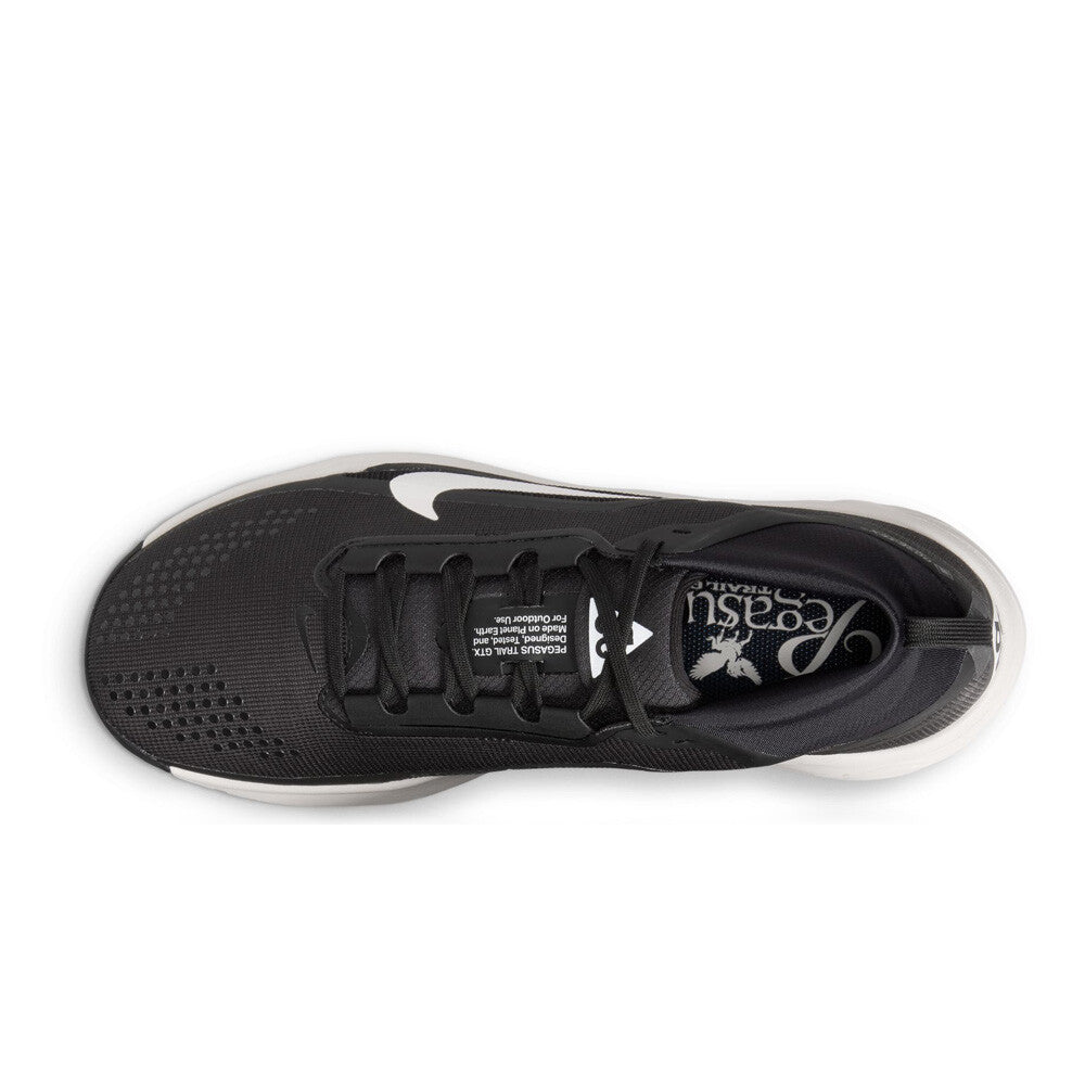 Nike ACG Pegasus GORE-TEX Men's Trail Running Shoes - Black/Summit White/Light Orewood Brown