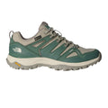 Duck Green/Clay Green