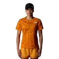 Apricot Glaze Mountain Traverse Print