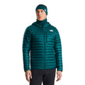 Pacific Teal/Restorative Teal