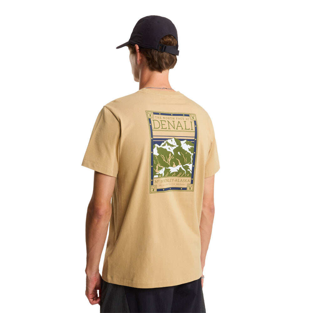The North Face North Faces Regular Graphic Men's T-Shirt - Khaki Stone